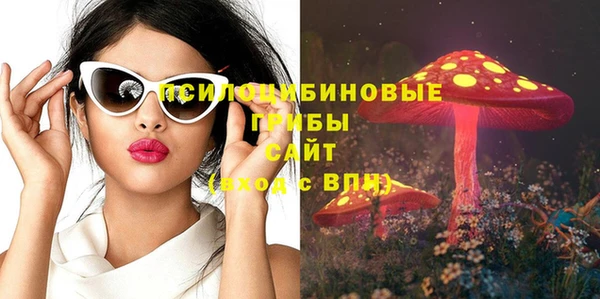 дживик Наволоки