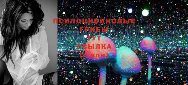 дживик Наволоки