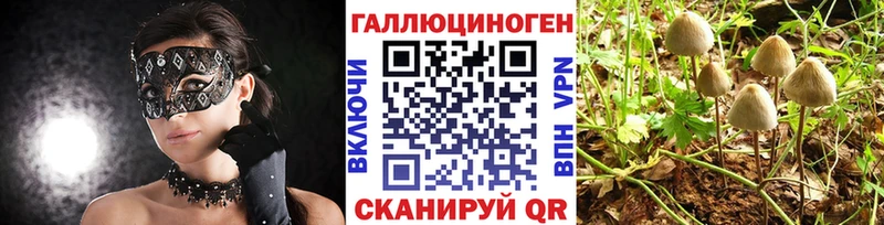 маркетплейс наркотические препараты  Сысерть  Псилоцибиновые грибы Psilocybe  где купить наркоту  МЕГА ССЫЛКА 
